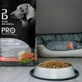 thumbnail image 3 of Pure Balance Pro+ Healthy Aging, Salmon & Brown Rice Recipe Dry Dog Food 7kg, 3 of 8