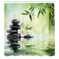 thumbnail image 3 of Ambesonne Garden Shower Curtain, Frangipani Flowers Japanese, 69"Wx84"L, Charcoal Grey and Pale Green, 3 of 5