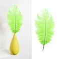 thumbnail image 2 of 12-14 inch Natural Ostrich Feathers, Soft Plume for Diy Crafts Wedding Centerpieces Party Decorations Christmas Tree Ornaments Costume accessories Dream Catcher, 1Pc (Multiple Colors available) Mohdy, 2 of 7