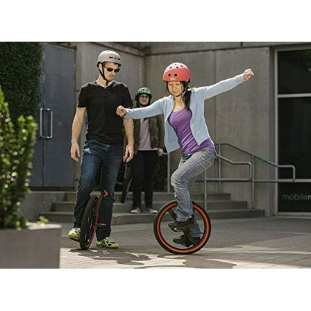 Lunicycle, a Standing Unicycle