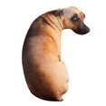 thumbnail image 1 of Almohada con estampado animal 3D, bonita forma de perro 3D, suave cojín de algodón PP para niños, regalo único, 2023, 1 of 5