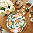 thumbnail image 2 of Summer Fruits Round Placemats Set of 8 for Dinning Tables,Heat-proof Braided Table Mats 15 Inch,Spring Orange Peach Green Botanical Washable Place Mat for Kitchen Restaurant Party Decor Table Setting, 2 of 9