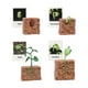 thumbnail image 5 of Juguetes de ciclo de vida Montessori, figuras educativas de biología y crecimiento animal Crecimiento de la planta, 5 of 9