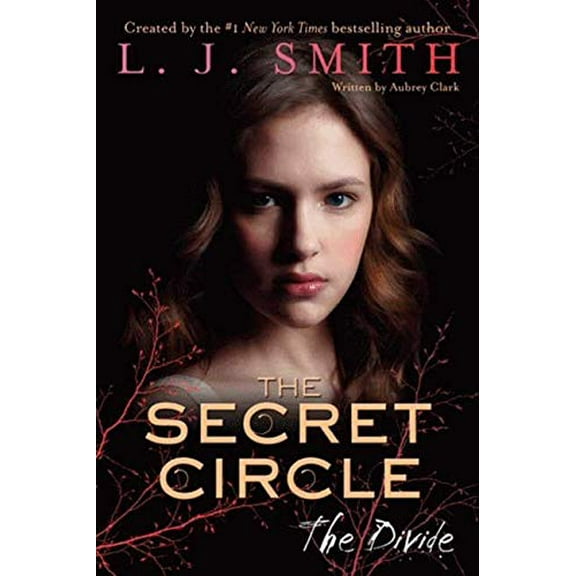 Pre-Owned The Secret Circle: The Divide (Hardcover) by L. j. Smith