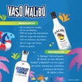 thumbnail image 2 of Vodka Absolut 750 ml + Ron Malibú coctel de coco 750 ml, 2 of 4