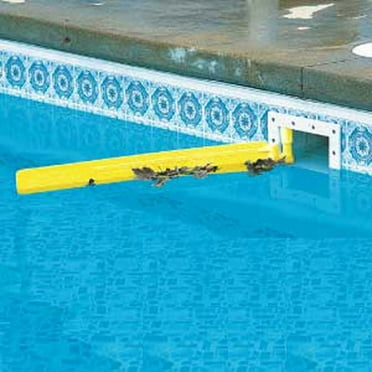 In the Swim Swimming Pool Debris Skimmer