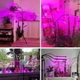 thumbnail image 2 of Luz de cultivo LED de 80 W con soporte para plantas de interior, luz de planta con temporizador, 80 LED, 4 cabezales de espectro completo con control remoto para plántulas, verduras y flores, 2 of 5