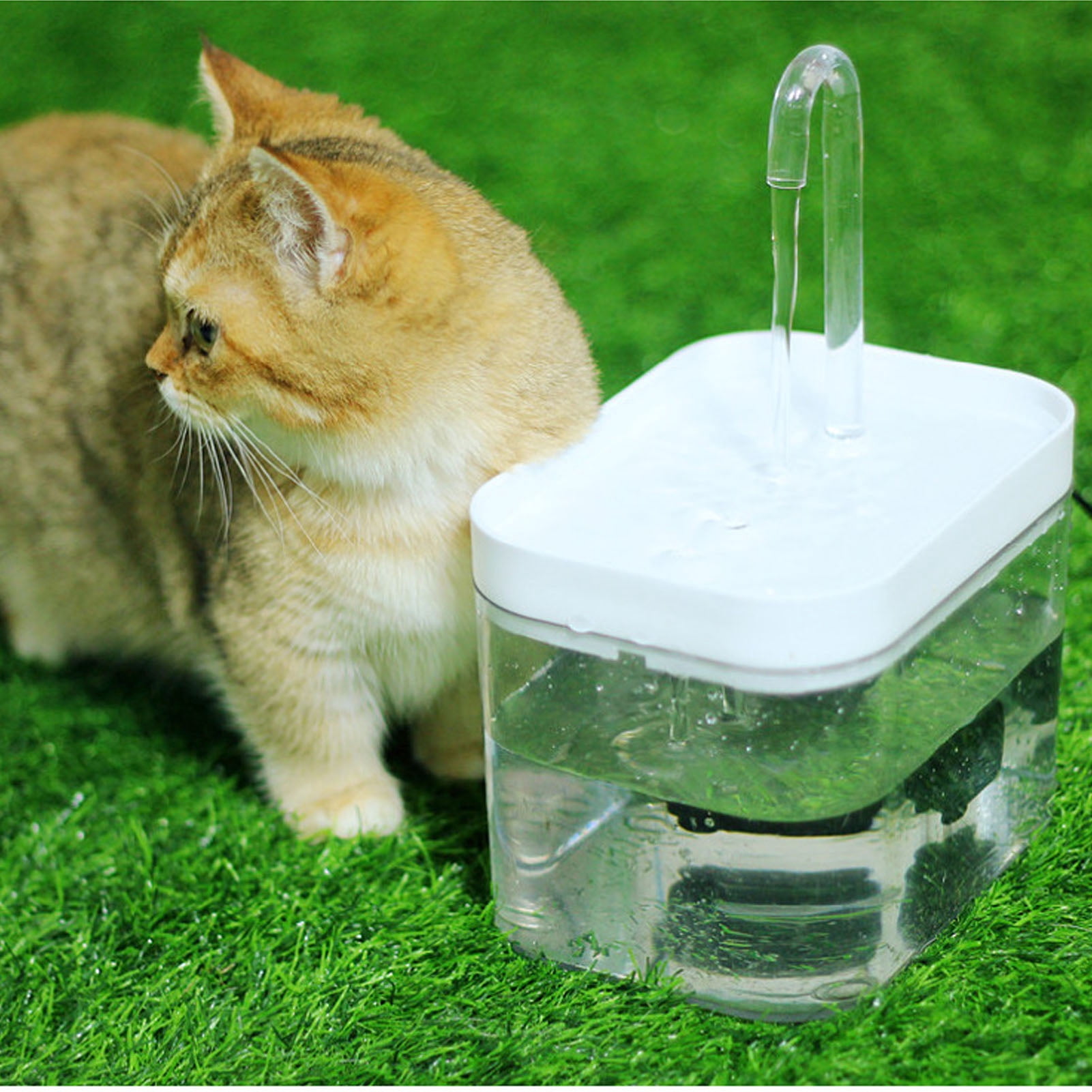 NFTIGB Cat Water Fountain Automatic Quiet USB Powered Transparent Pet Water Dispenser with Elbow Tube 1.5L / 50.72 oz White Lid