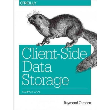 Client-Side Data Storage: Keeping It Local (Paperback)
