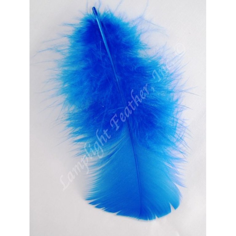  Blue Feather 100pcs for DIY Craft Wedding Home Party Home  Decorations : Arts, Crafts & Sewing