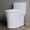 Matte White, variant on HOROW Compact One Piece Toilet with Comfort Seat ADA Height 17.3" Elongated Dual Flush 0.8/1.28 GPF