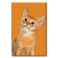 thumbnail image 1 of Cuadro Canva Listo Para Colgar Pixtreats Tipo Galería Gato Naranja 60X90 cm, 1 of 4