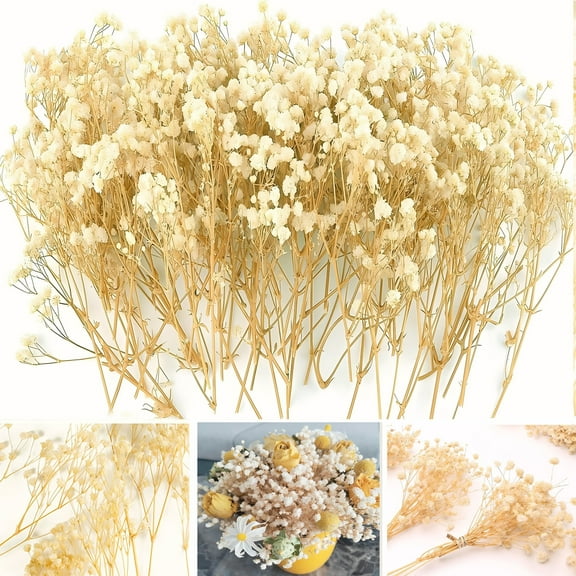 Mini Dried Baby's Breath Flowers - 90  Stems of Natural Ivory White Dried Baby's Breath - Perfect for Wedding Wreath/Card Making/Home Décor