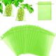 thumbnail image 3 of 100Pcs Reusable Gauze Fruit Protection Bags Anti-Bird Garden Netting Bags Strawberry Mesh Bag Plante Vegetable Grow Bags, 3 of 5