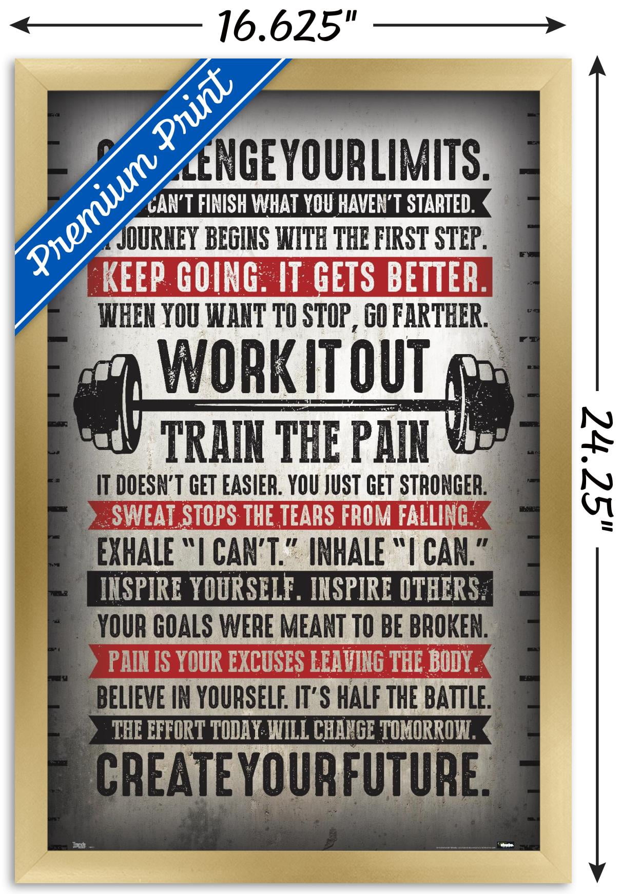 Challenge Your Limits Wall Poster, 14.725" x 22.375", Framed