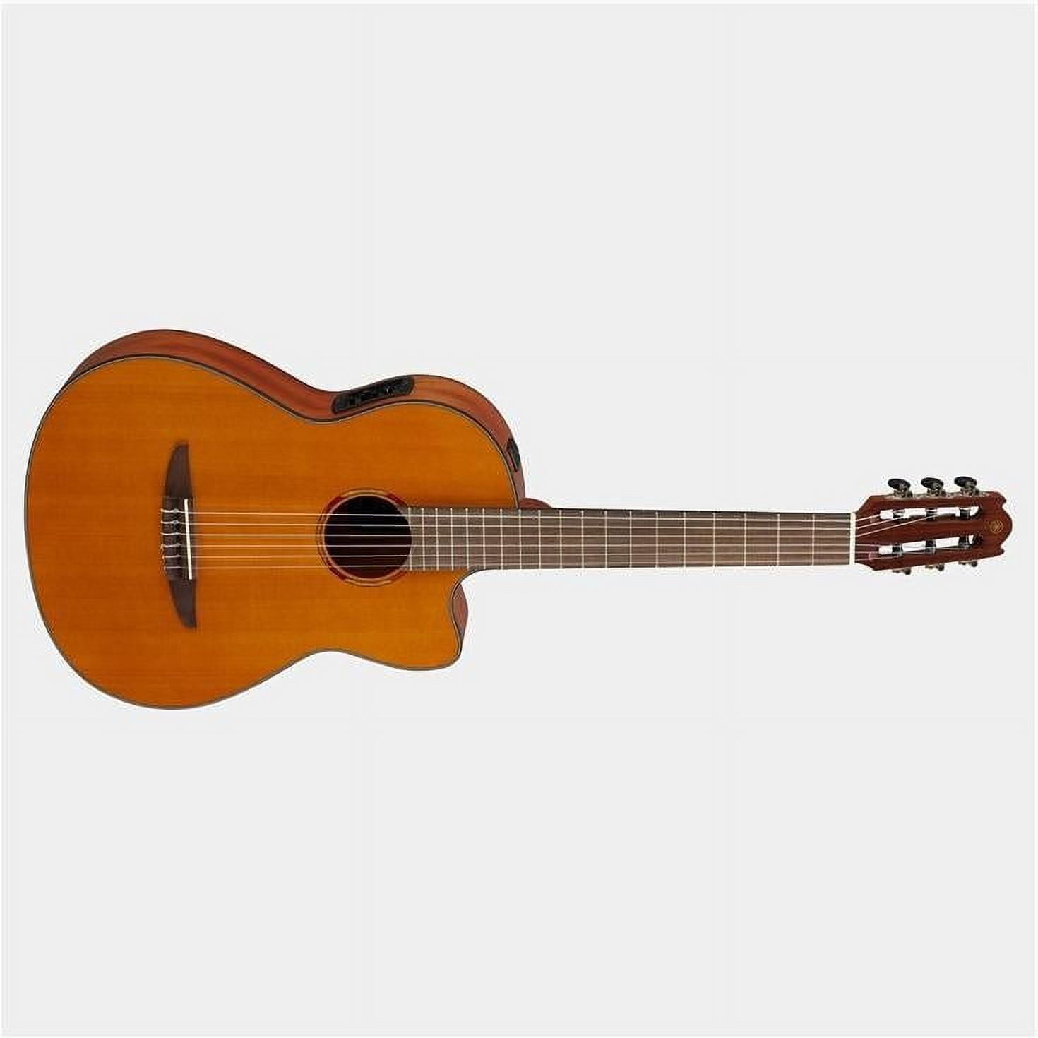 ギター YAMAHA CO-01 Yamaha FX01 CTC Guitar Pack | zZounds