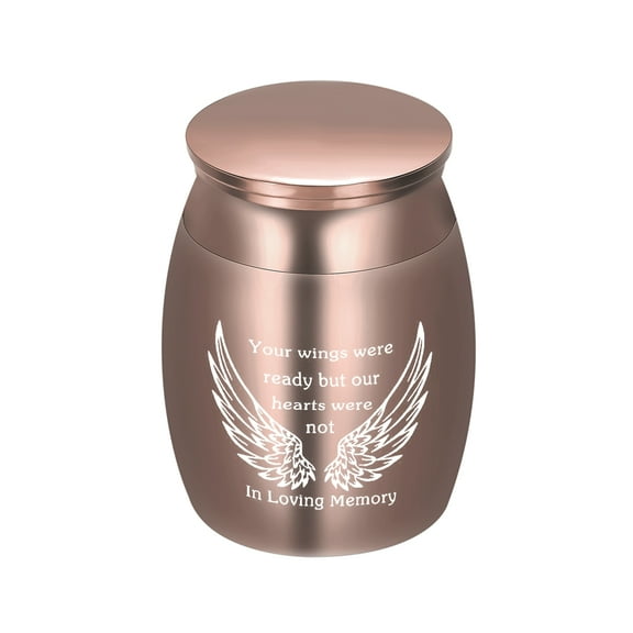 Urns for Ashes Decorative Urns for Adult Human Ashes Mini Stainless Steel Cremation Urns for Human Ashes for Adult Male Female Ashes for Pet Cremation Urn