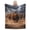 50x40, variant on Wild Bear Storm Blanket Running Brown Bear Wildlife Throw Blanket Soft Cozy Flannel Rustic Cabin Nature Decor Gift 50x40