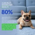 thumbnail image 4 of Coco and Luna Urinary Tract Cranberry for Dogs - 90 Soft Chews, 4 of 9