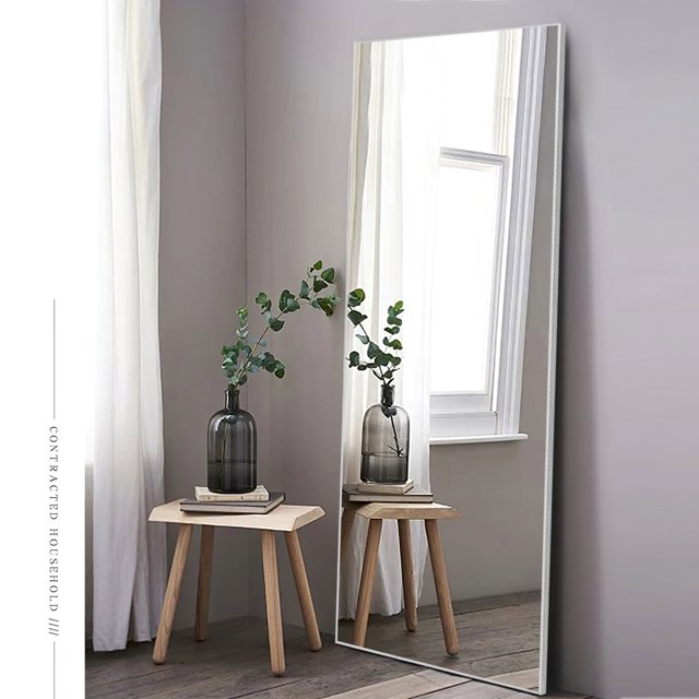 NeuType Full Length Floor Mirror Rectangular Silver 59"x19"