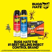 (2 pack) Raid Max Concentrated Deep Reach Fogger, Roach & Flea Insect Killer, 2.1 oz, 3 Cans