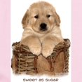 thumbnail image 2 of CafePress - Golden Retriever Sweet As Sugar Infant Creeper - Baby Light Bodysuit, Size Newborn - 24 Months, 2 of 4