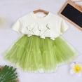 thumbnail image 2 of Bearichfupo Toddler Baby Girls Outfits&Set Floral Short Sleeve Top And Net Skirt Summer Outdoor Casual Fashionable Suit,Girls' Skirt Sets Sizes 18-24 Months, 2 of 2