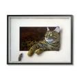 thumbnail image 5 of Stupell Industries Manx Cat Resting Curious Mouse Peering Illusion Painting Black Framed Art Print Wall Art, Design by Alan Weston, 5 of 5