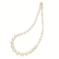 thumbnail image 2 of Sterling Silver 8-16mm Graduated White Shell Bead Necklace, 2 of 5