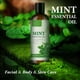 thumbnail image 1 of onlyliua Liquidación Acetato de Menta para Masajes Faciales y Corporales, Hidratante, 200 Ml, 1 of 7