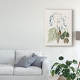thumbnail image 3 of Trademark Fine Art 'Studies in Nature II' Canvas Art by Mark Catesby, 3 of 4