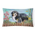 thumbnail image 1 of Carolines Treasures CK1207PW1216 Bernese Mountain Dog Spring Canvas Fabric Decorative Pillow, 1 of 3