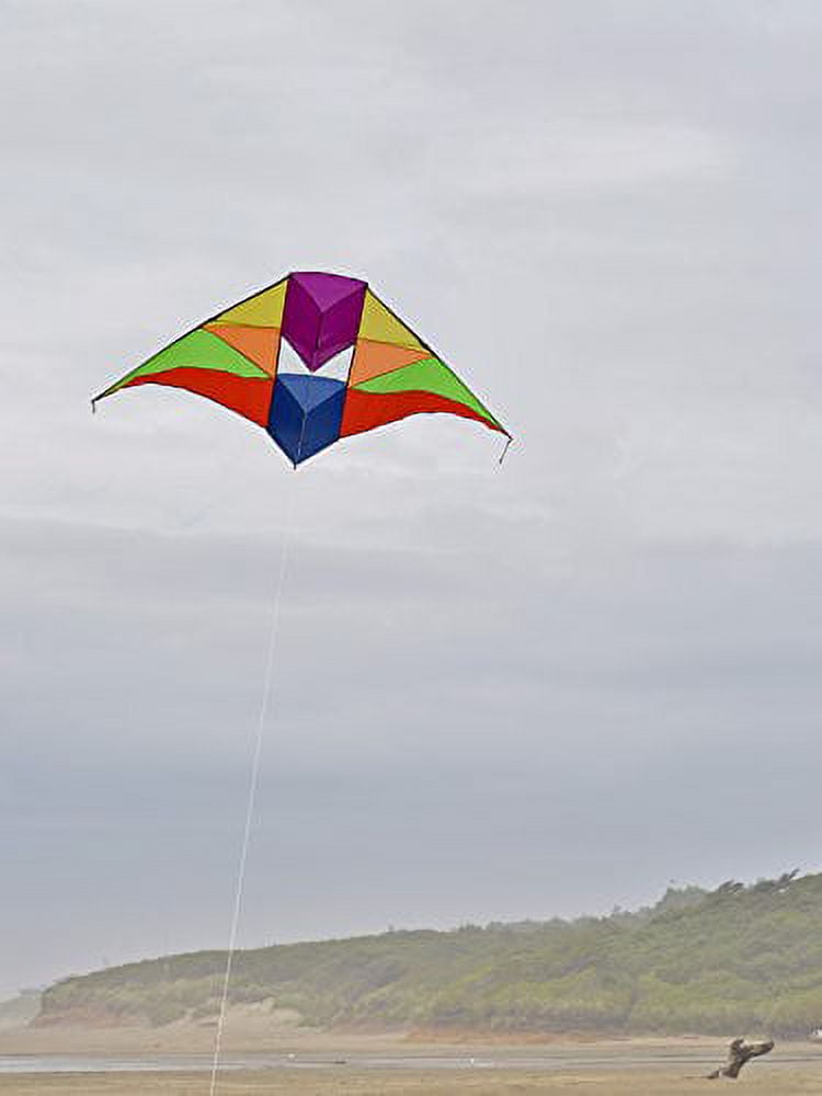 In the Breeze 3011 — Rainbow Conyne Delta Kite, 6-Feet, Single Line Easy Flying Kite