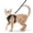 black, variant on Cat and small dog harness traction rope for walking, anti escape soft adjustable vest harness, easy to control breathable jacket