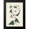 thumbnail image 2 of Curtis 14x18 Black Modern Framed Museum Art Print Titled - Garden Gems V, 2 of 5
