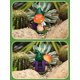 thumbnail image 3 of Estatuas de gnomo de jardín – Figura de gnomos de ardilla de resina con luces LED solares en forma de hongo en el tronco, decoraciones de primavera al aire libre para patio, jardín, porche, adorno de, 3 of 6