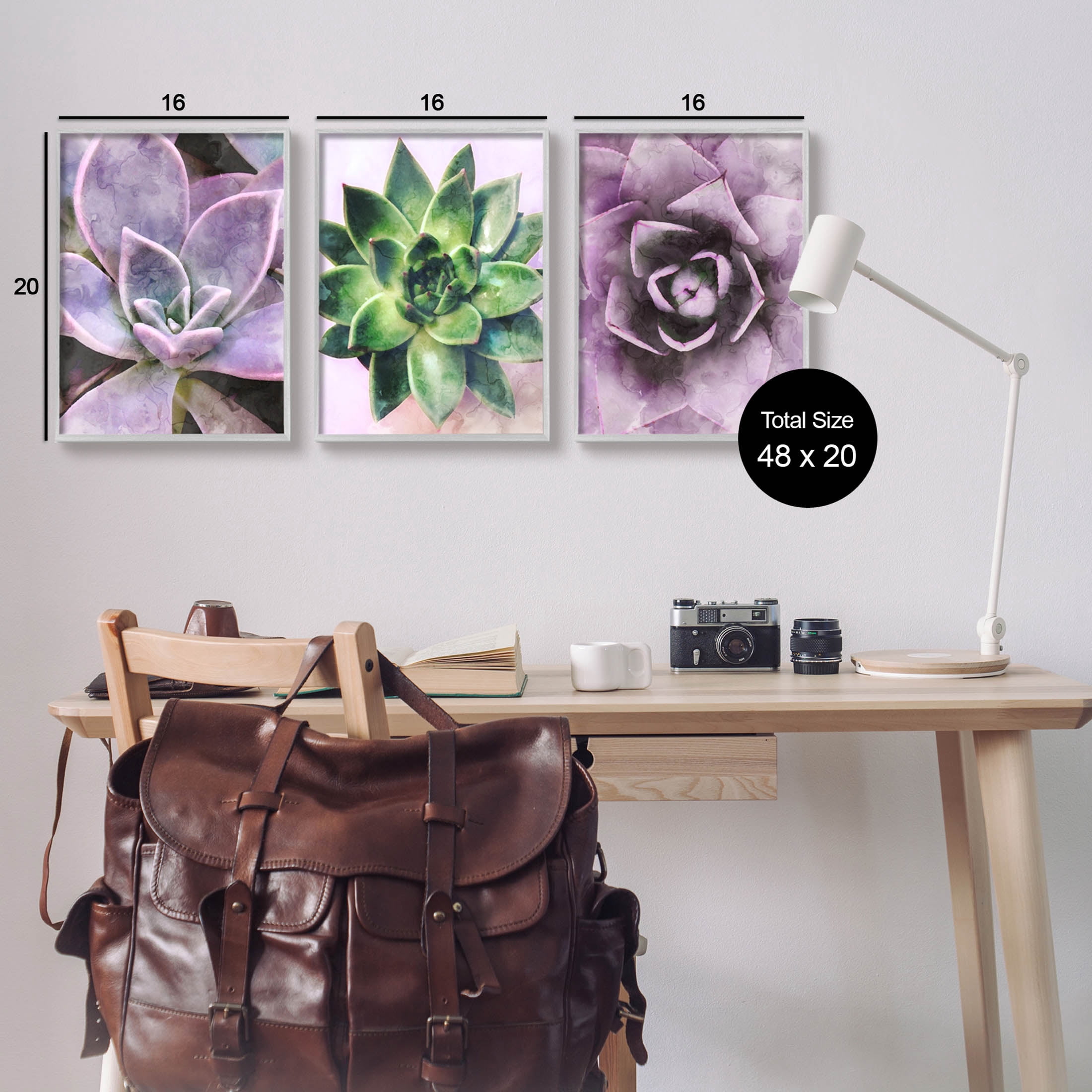 Purple Sprouting Succulents Close Up Botanical & Floral Graphic Art Gray Framed Art Print Wall Art, Set of 3