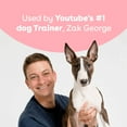 thumbnail image 5 of Pupford Freeze Dried Training Treats for Dogs & Puppies (Salmon, 4 oz), 5 of 8