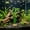 🎁 Green_Hot#265, variant on Artificial Seaweed Aquarium Decor – Lifelike Plastic Water Plants for Fish Tank, Soft Kelp Ornament Fish Hideout for Breeding, Realistic Underwater Landscape for Freshwater and Saltwater Aquariums