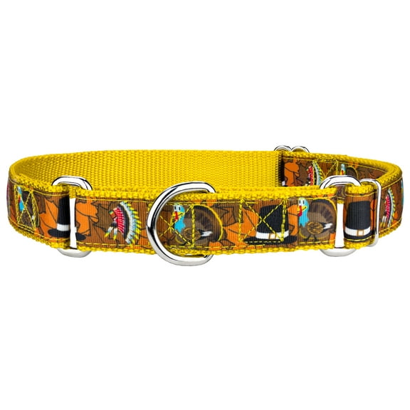 Country Brook Petz® Thanksgiving Tradition Ribbon Martingale Dog Collar, Small
