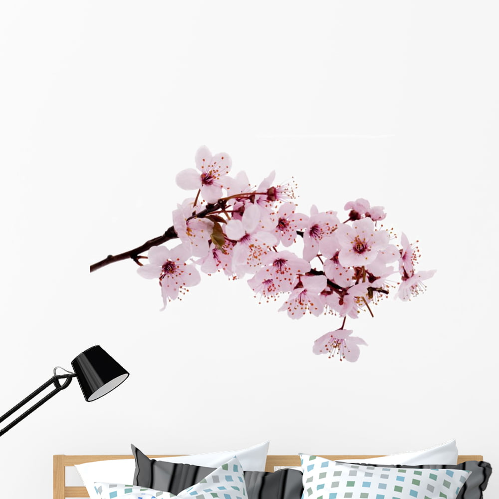 Cherry Blossom Wall Decal by Wallmonkeys Peel and Stick Graphic (48 in