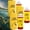 3PCS, variant on Concentrated Fish Attractant Liquid, Enhances Scent & Improves Biteresponse for Trout, Panfish and More