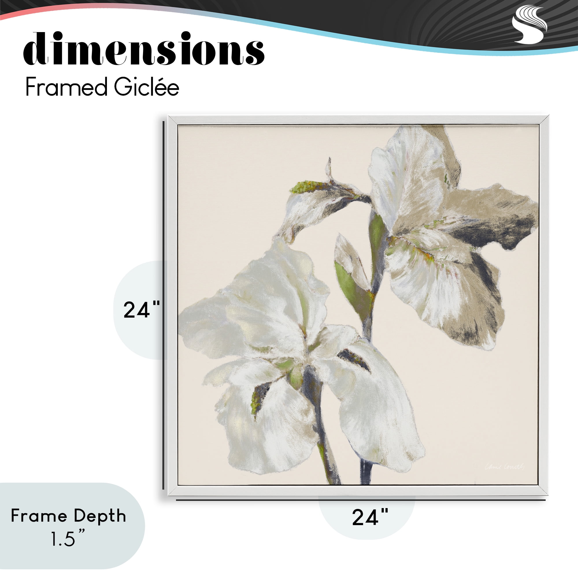 Stupell Industries Irises Soft Beige White Framed Giclee Art, design by Lanie Loreth