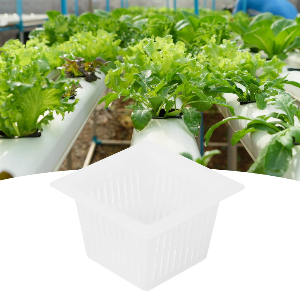 LYUMO Hydroponics Plant Pot,50Pcs Square Hydroponics Net Pot Soilless