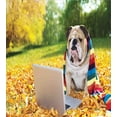 thumbnail image 3 of English Bulldog King Size Duvet Cover Set, Dog in the Park with a Laptop and Rainbow Colored Scarf Funny Photography, Decorative 3 Piece Bedding Set with 2 Pillow Shams, Multicolor, by Ambesonne, 3 of 3