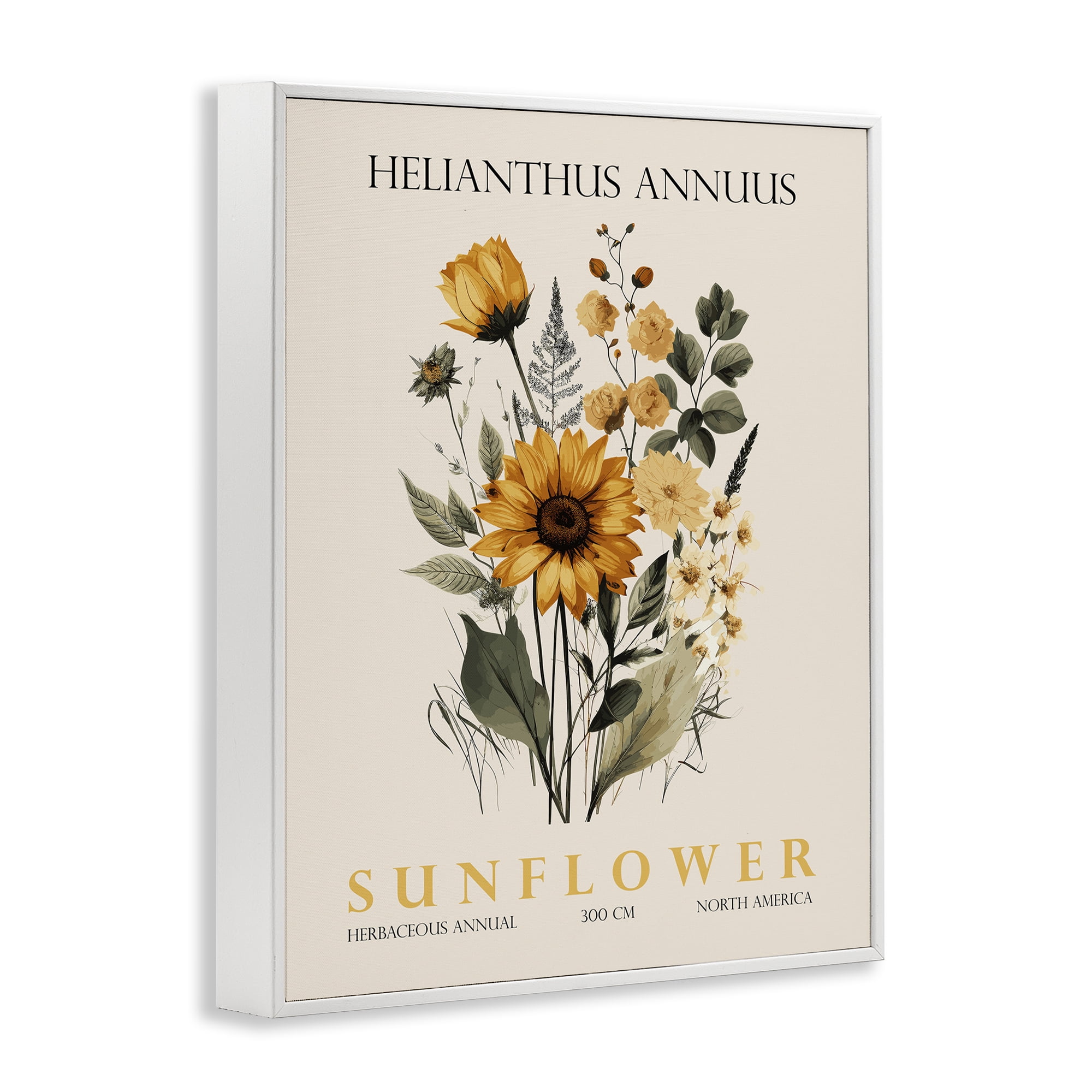 Stupell Industries Natural Sunflower Bundle White Framed Giclee Art, design by Christopher Giampietro