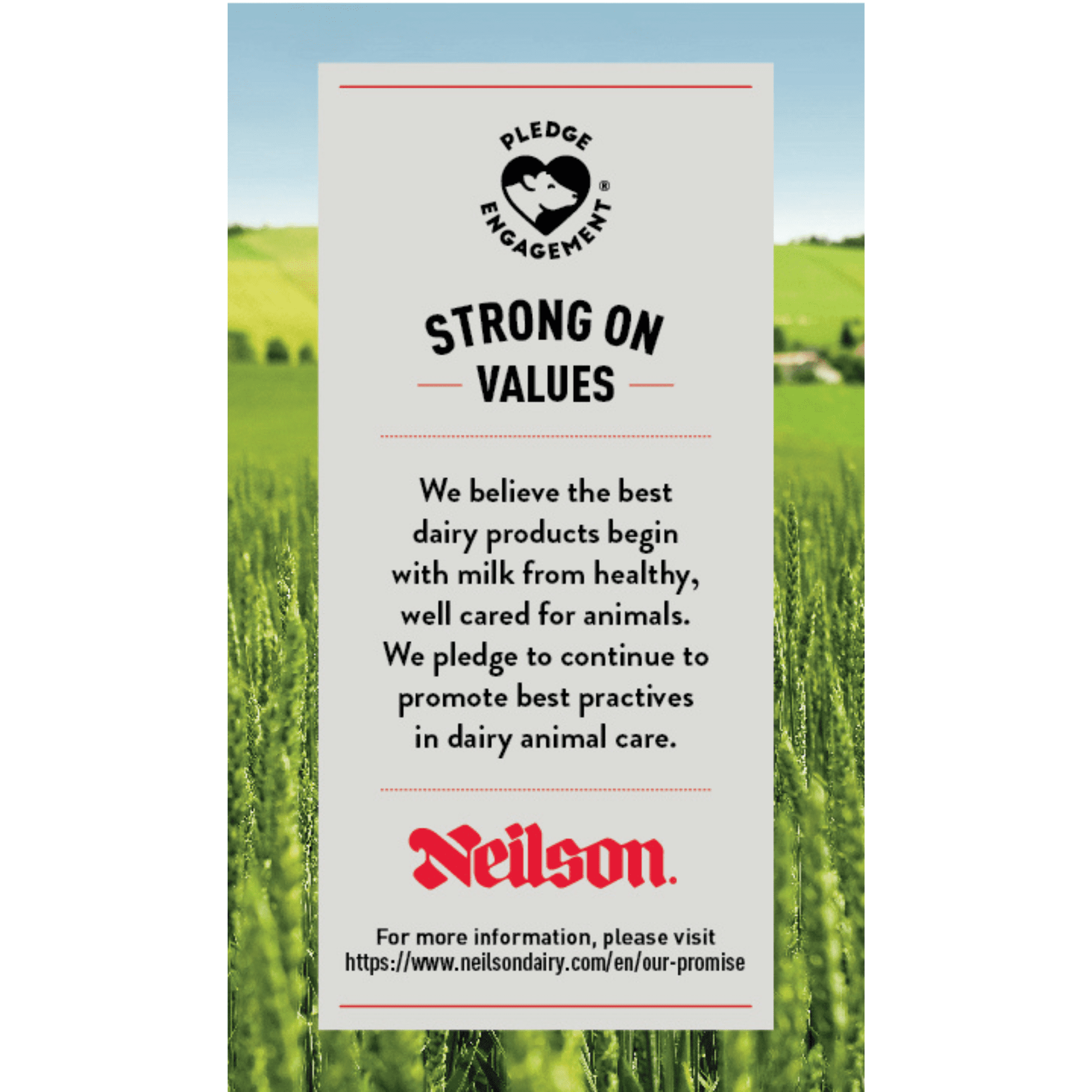 Neilson French Vanilla Milkshake