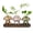 Brown, variant on Glasseam Mushroom Glass Vase Set of 3: Unique Hydroponic Planter with Wood Stand Cute Terrarium Jars for Indoor Plants Perfect Home or Office Decor for Plant Lovers Plant Propagation Station