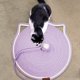 thumbnail image 5 of Almohadilla para gatos de 43 cm Resistente y sin descascarillarse Tablero para gatos Autocalentable Almohadilla para dormir integrada Cuerda tejida Almohadilla para gatos de verano, 5 of 6