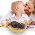 thumbnail image 3 of Attractive Simulation hatches Dinosaur Cub Educational Model Doll Children Gift., 3 of 9